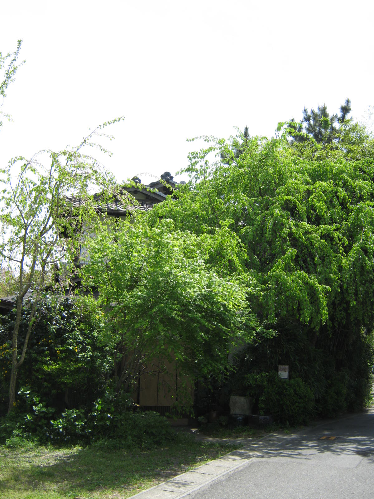 f0173908_11571669.jpg