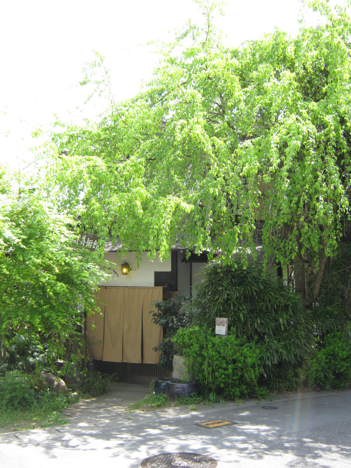 f0173908_115868.jpg