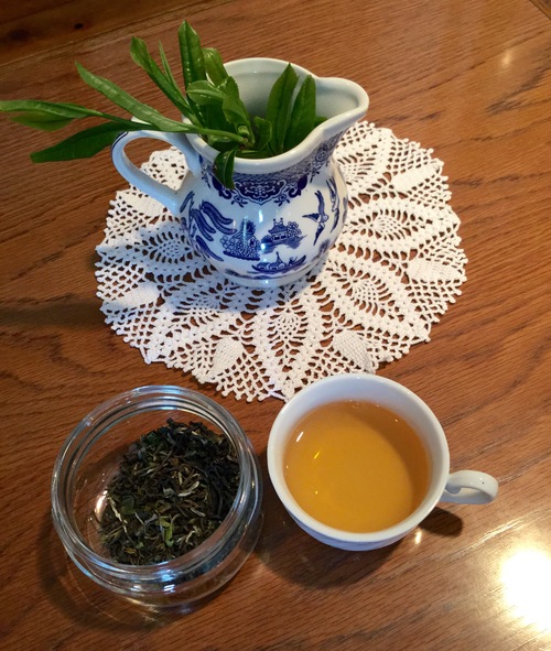 鎌倉で紅茶を楽しむ会 第2回_b0158721_2162166.jpg