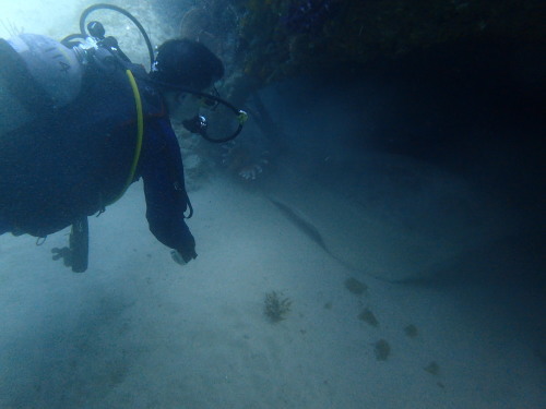 c0115421_20522592.jpg