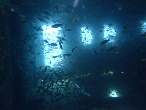 c0115421_20524466.jpg