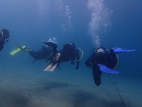 c0115421_20550654.jpg