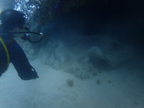 c0115421_21005579.jpg