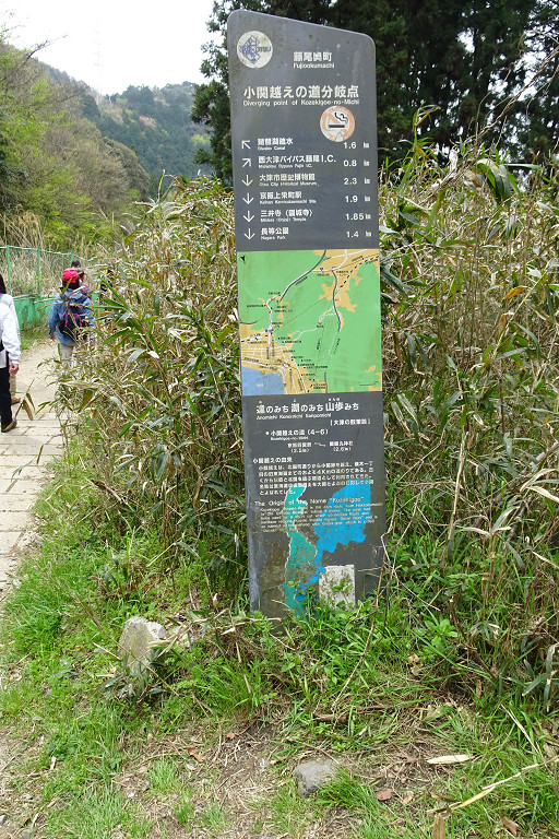d0073324_125271.jpg