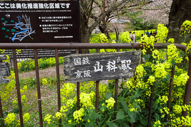 d0073324_1273126.jpg