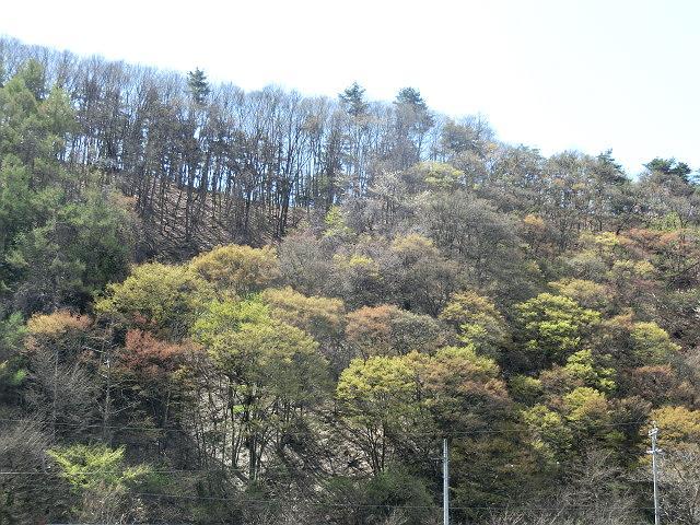 e0234924_16573717.jpg