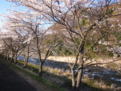 f0203324_8532652.jpg