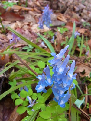 c0204725_20315323.jpg