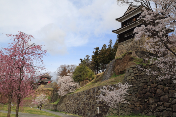 １６年桜紀行《Ⅵ》信州・上田城その３_f0229832_17264876.jpg