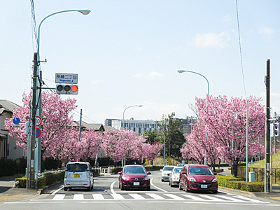 三増峠〜半原越〜土山峠　リハビリライド２_f0341635_11215644.jpg