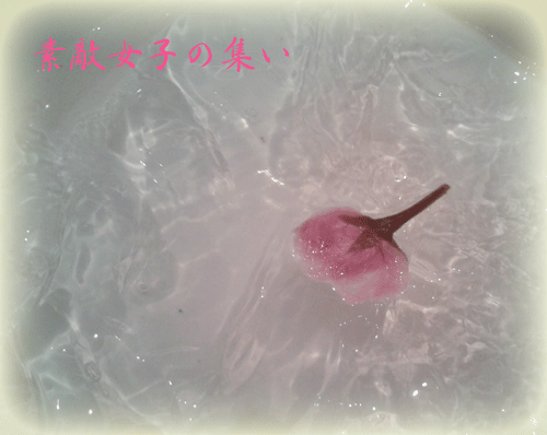 a0245136_13390408.gif