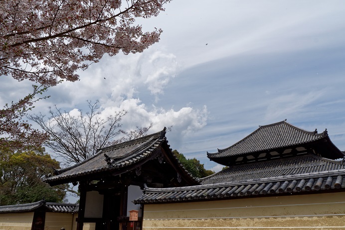 f0274536_14270.jpg