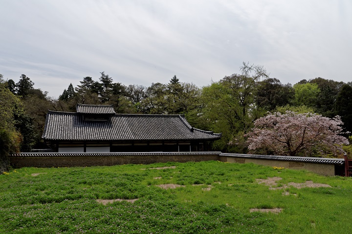 f0274536_17543324.jpg
