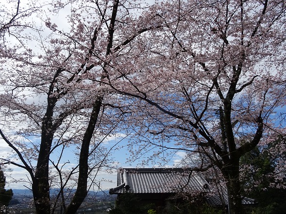 b0299042_8101286.jpg