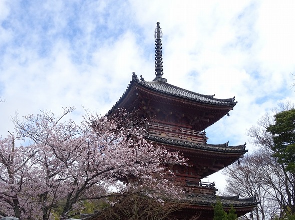 b0299042_8112573.jpg