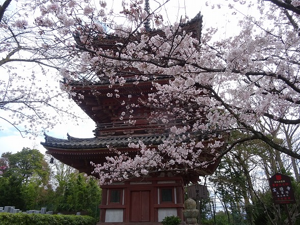 b0299042_8113670.jpg