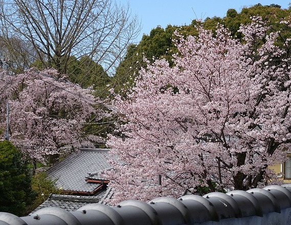 b0299042_8122266.jpg
