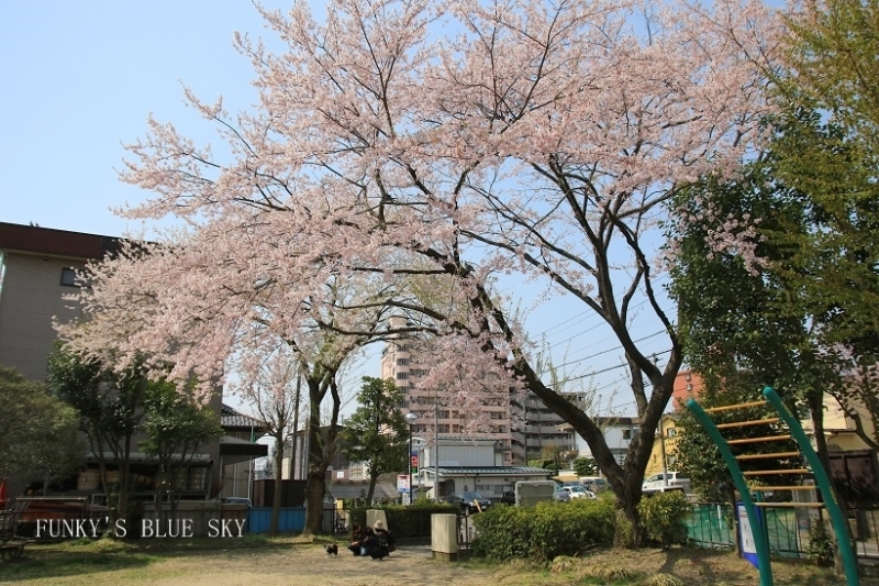 c0145250_11052097.jpg