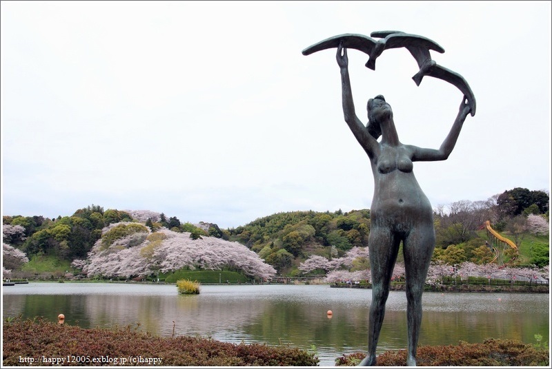 満開の桜＠蓮華寺池公園♪_a0167759_0202755.jpg