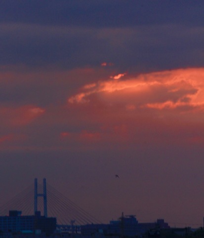 a0248459_16081123.jpg