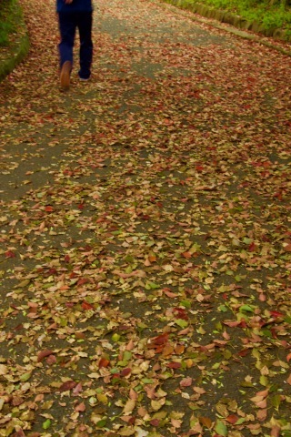 a0248459_16112295.jpg