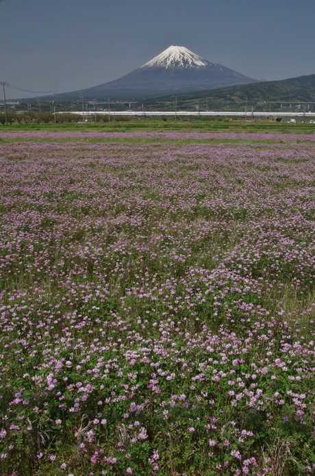 d0229560_1695087.jpg