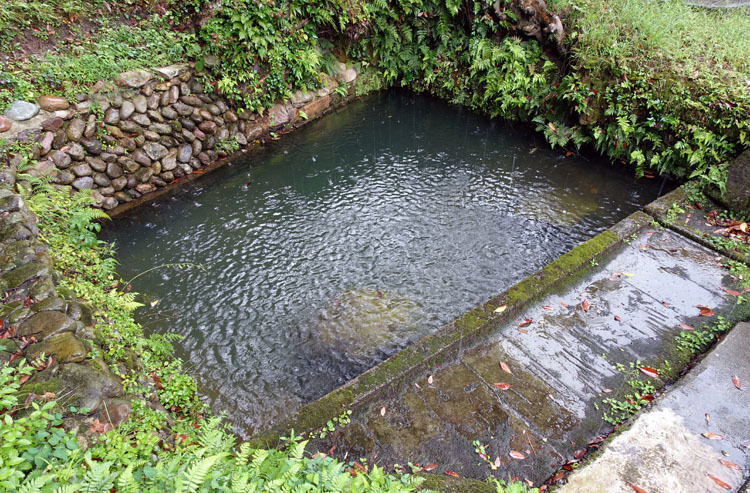鏡の池 わが魂は輝く水なり