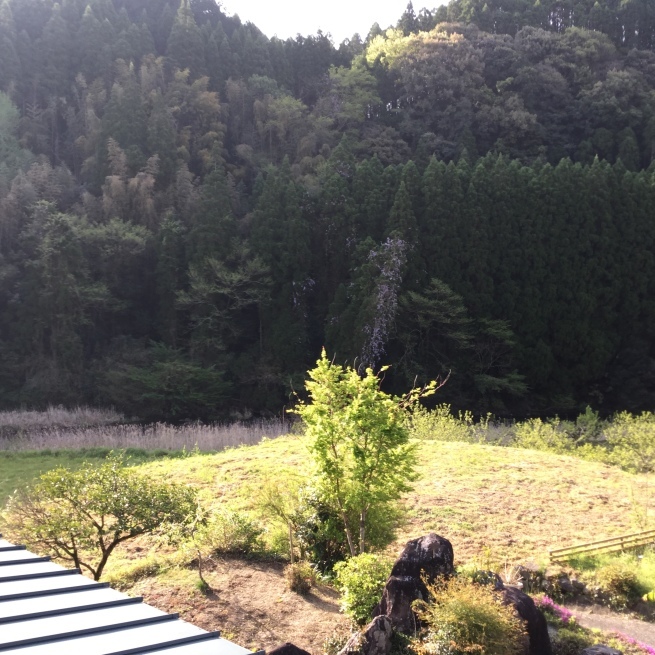 毘沙門天 ティティティア 熊本地震_c0348065_00442681.jpeg