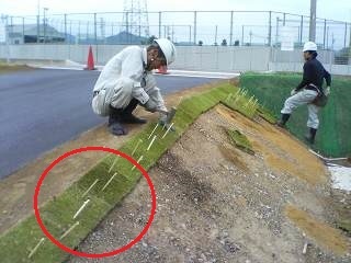 烏滸の沙汰