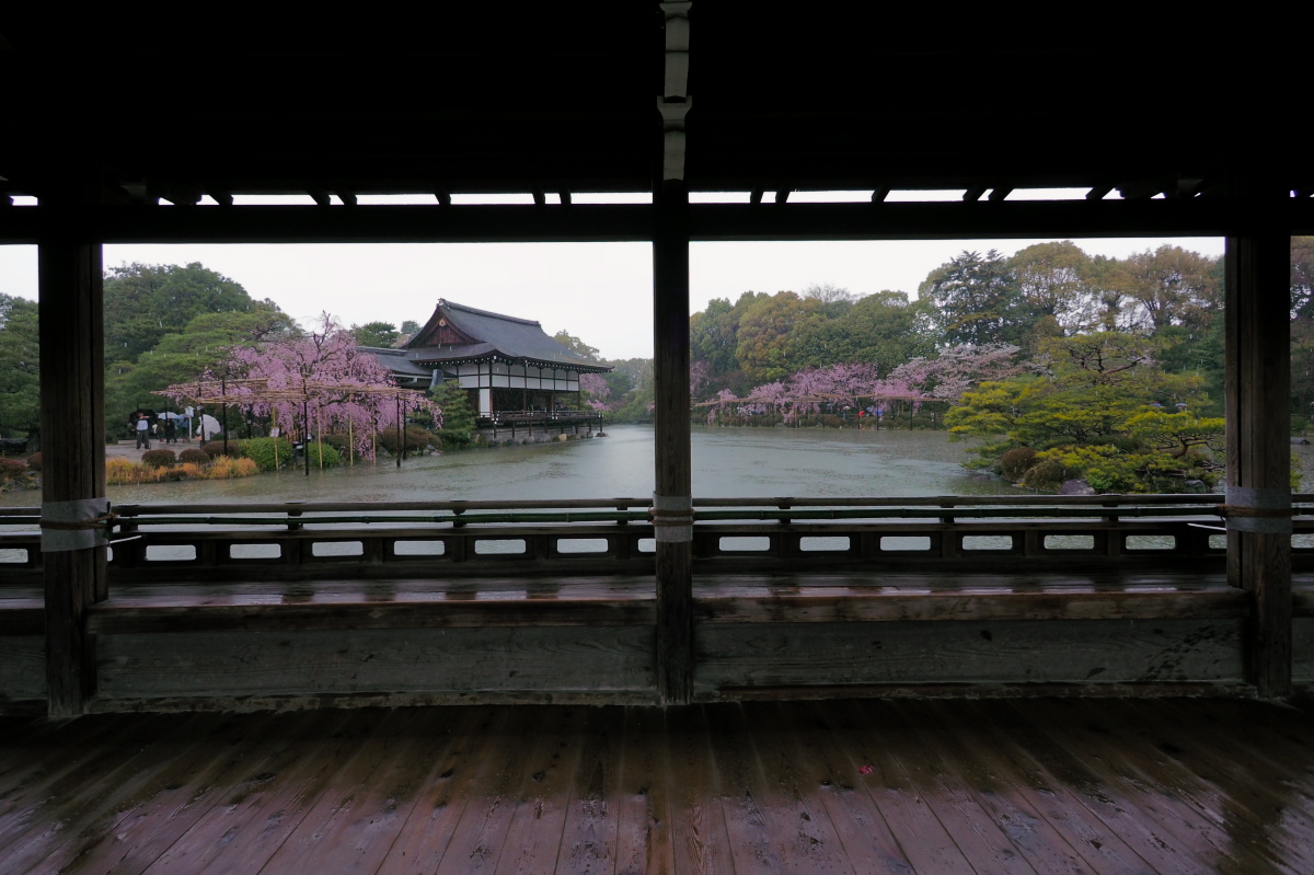 桜　2016　平安神宮 _f0021869_053180.jpg