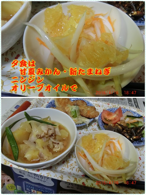 甘夏みかんは人気あり、夏野菜の準備作業_d0007071_21203834.jpg