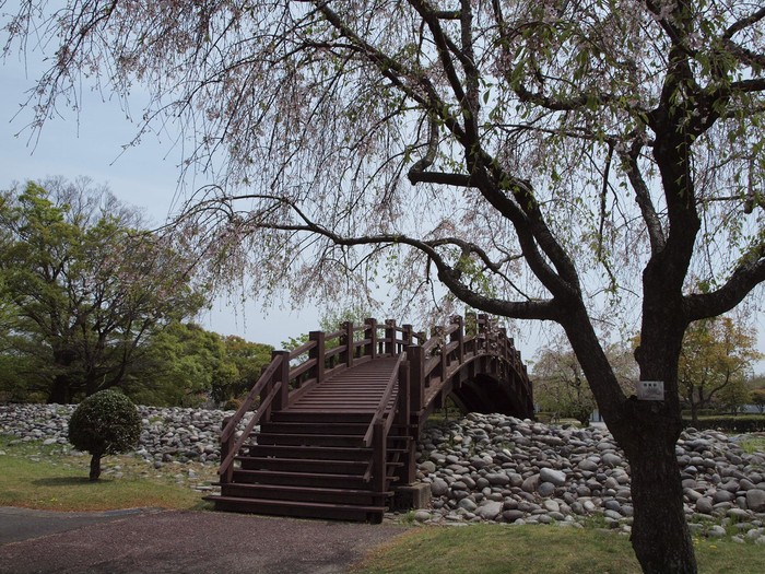 『遅咲きの里桜達(七品種)・・・・・』_d0054276_20294155.jpg