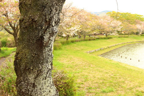 d0353077_23440080.jpeg