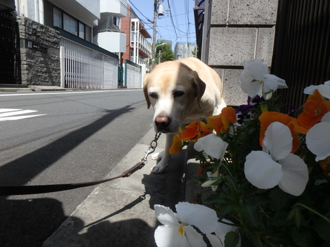 f0052277_2105813.jpg