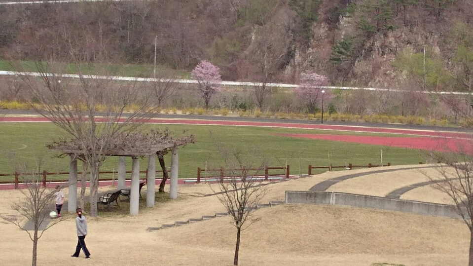 今日の景色　～桜～_b0219993_17482859.jpg