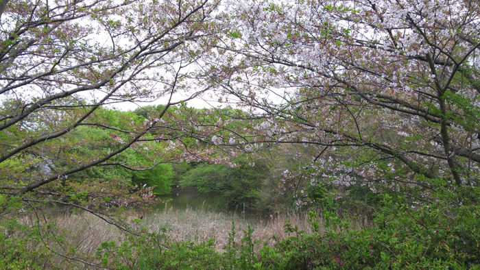 e0153994_19123675.gif