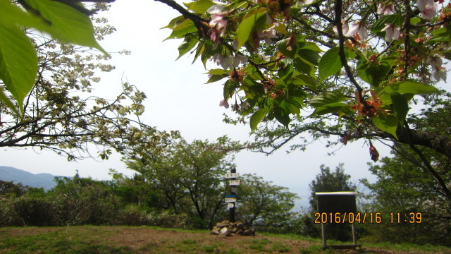 c0133096_21175007.jpg