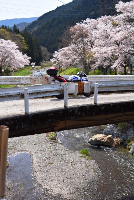 春のカメツー（富士山＆他編）_e0003097_16112395.jpg