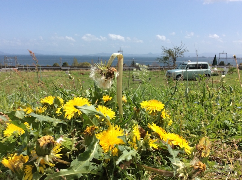 b0220002_15310536.jpeg