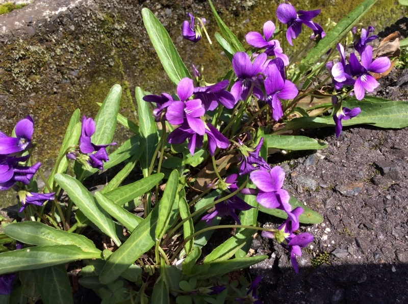 b0220002_15421197.jpeg