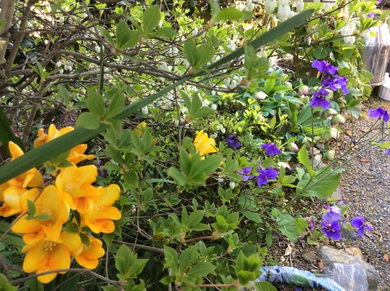 b0220002_16325454.jpeg