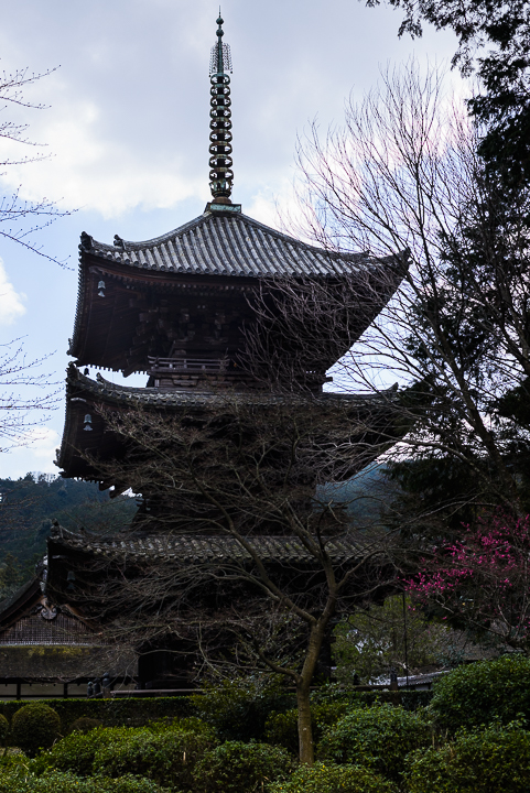 三井寺の、平和的光景_d0094105_18282636.jpg