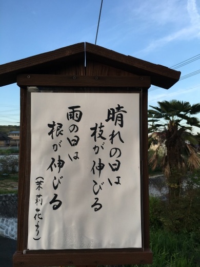 いつもその時に必要な言葉に出会ってるはず♡_a0213806_21310078.jpeg