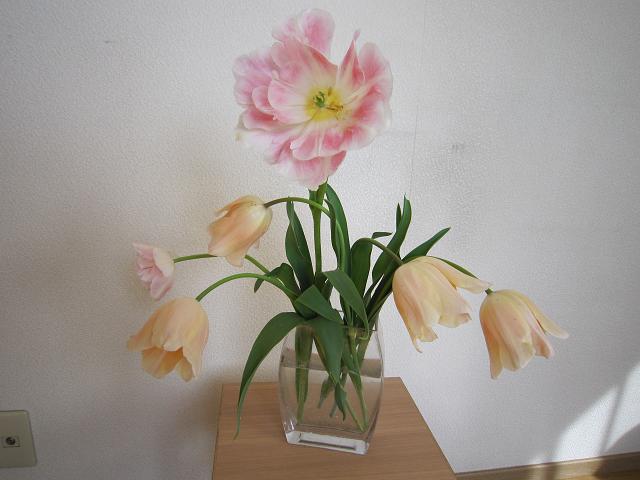 a0141408_2039481.jpg