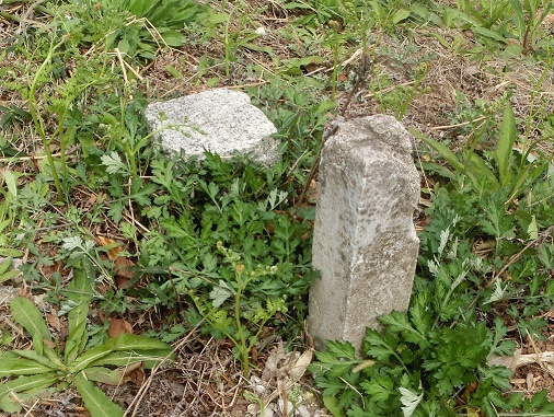 b0181818_8181627.jpg
