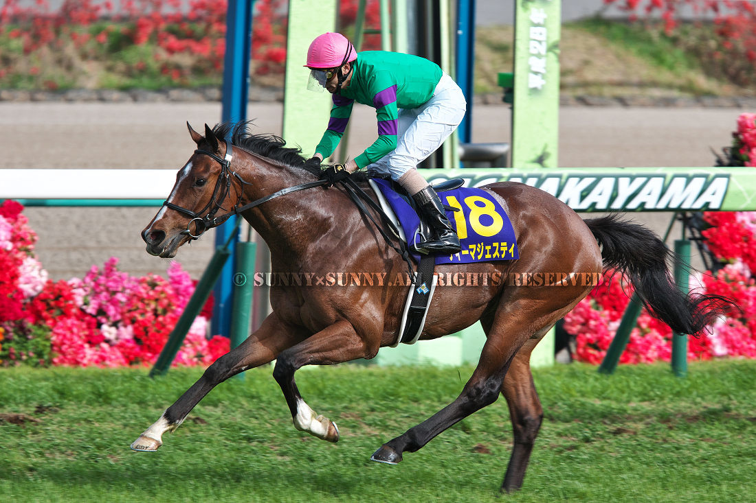 圧巻のレコードV 第76回 皐月賞 (GI) あの日感じた風