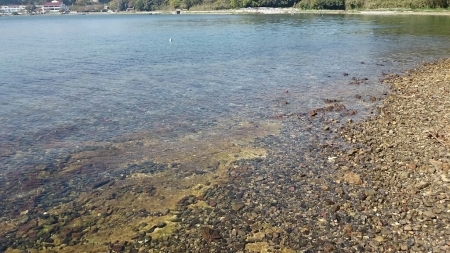 b0259124_20361203.jpg