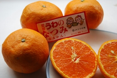 c0124528_16484432.jpg