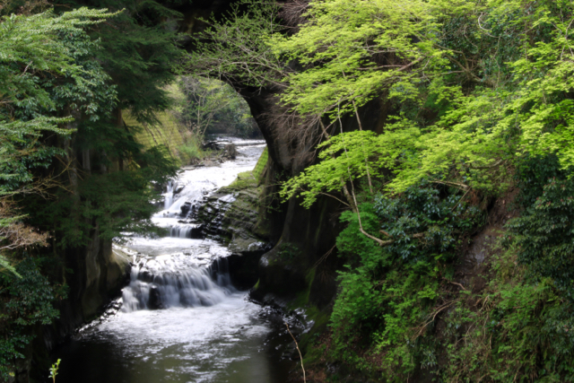 【濃溝の滝】_f0348831_17555437.jpg
