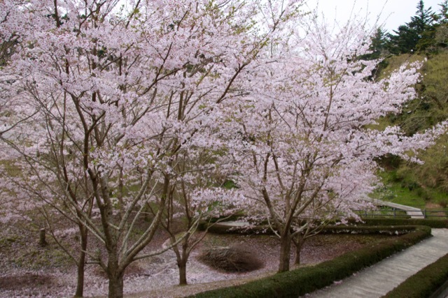 【濃溝の滝】_f0348831_17580890.jpg